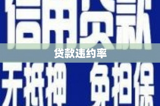 保税港区贷款违约率