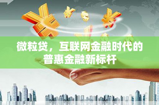 保税港区微粒贷，互联网金融时代的普惠金融新标杆