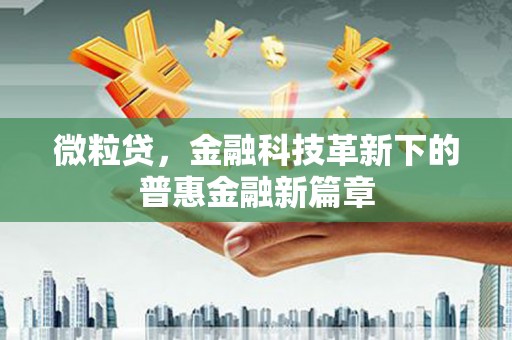 保税港区微粒贷，金融科技革新下的普惠金融新篇章