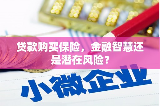 保税港区贷款购买保险，金融智慧还是潜在风险？