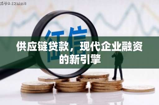 保税港区供应链贷款，现代企业融资的新引擎