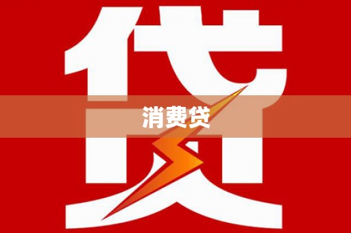 保税港区消费贷