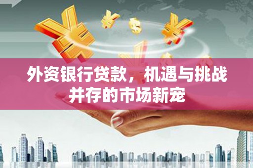 保税港区外资银行贷款，机遇与挑战并存的市场新宠