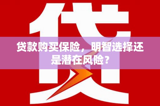 保税港区贷款购买保险，明智选择还是潜在风险？