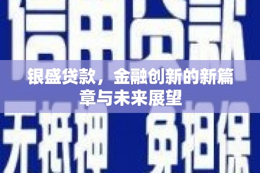 保税港区银盛贷款，金融创新的新篇章与未来展望