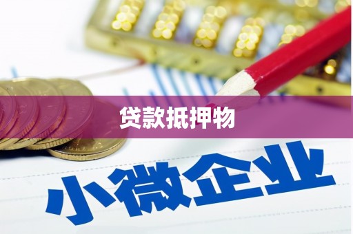 保税港区贷款抵押物