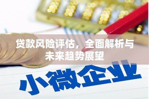 保税港区贷款风险评估，全面解析与未来趋势展望