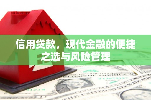 保税港区信用贷款，现代金融的便捷之选与风险管理