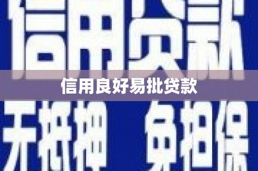 保税港区信用良好易批贷款