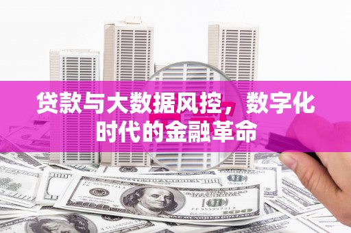 保税港区贷款与大数据风控，数字化时代的金融革命