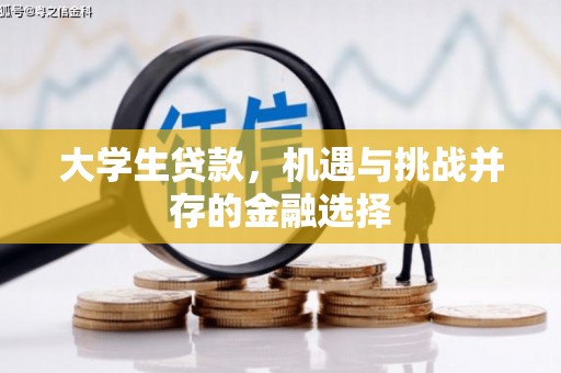 保税港区大学生贷款，机遇与挑战并存的金融选择