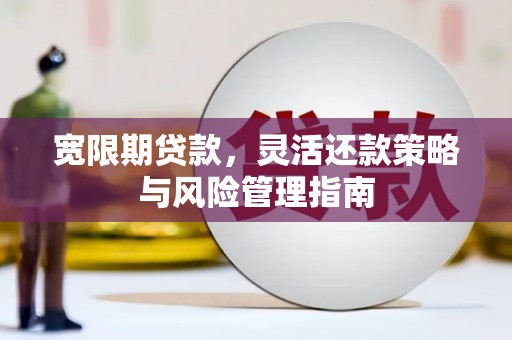保税港区宽限期贷款，灵活还款策略与风险管理指南