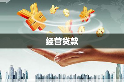 保税港区经营贷款