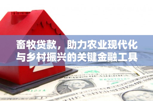 保税港区畜牧贷款，助力农业现代化与乡村振兴的关键金融工具