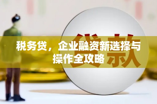 保税港区税务贷，企业融资新选择与操作全攻略