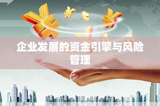 保税港区企业发展的资金引擎与风险管理
