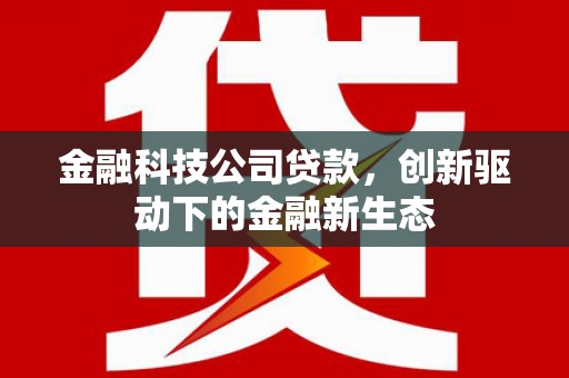 保税港区金融科技公司贷款，创新驱动下的金融新生态