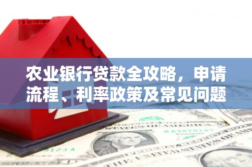 保税港区农业银行贷款全攻略，申请流程、利率政策及常见问题解析