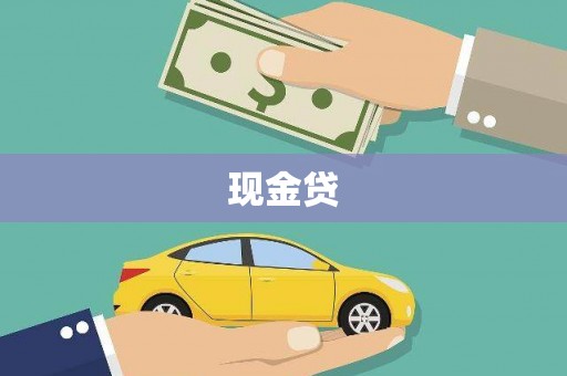保税港区现金贷