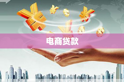 保税港区电商贷款