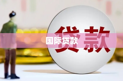 保税港区国际贷款