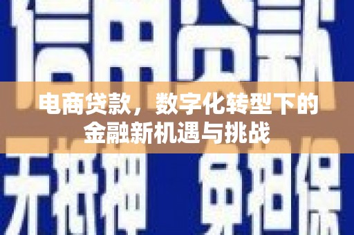 保税港区电商贷款，数字化转型下的金融新机遇与挑战