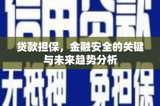 保税港区贷款担保，金融安全的关键与未来趋势分析