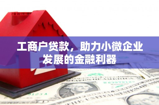保税港区工商户贷款，助力小微企业发展的金融利器