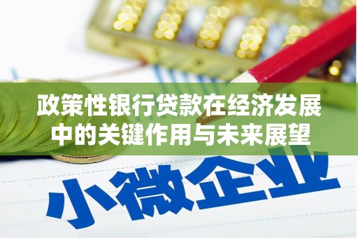 保税港区政策性银行贷款在经济发展中的关键作用与未来展望