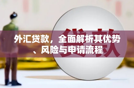 保税港区外汇贷款，全面解析其优势、风险与申请流程