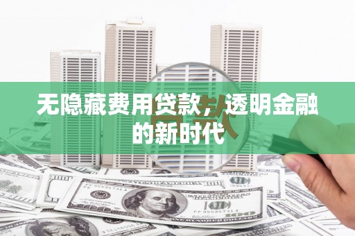 保税港区无隐藏费用贷款，透明金融的新时代