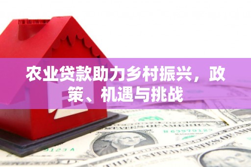 保税港区农业贷款助力乡村振兴，政策、机遇与挑战