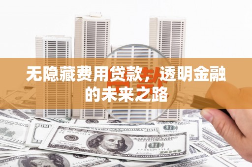 保税港区无隐藏费用贷款，透明金融的未来之路