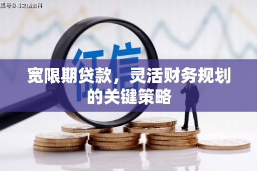 保税港区宽限期贷款，灵活财务规划的关键策略