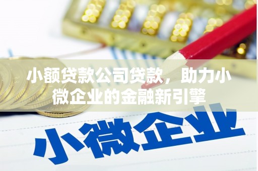 保税港区小额贷款公司贷款，助力小微企业的金融新引擎