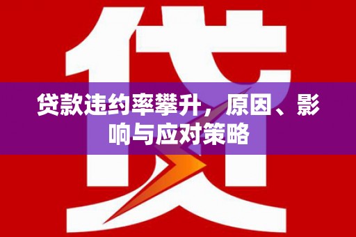 保税港区贷款违约率攀升，原因、影响与应对策略