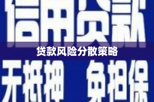 保税港区贷款风险分散策略