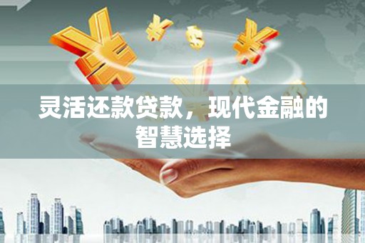 保税港区灵活还款贷款，现代金融的智慧选择