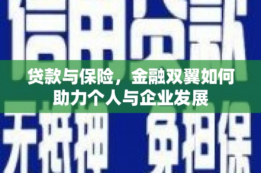 保税港区贷款与保险，金融双翼如何助力个人与企业发展