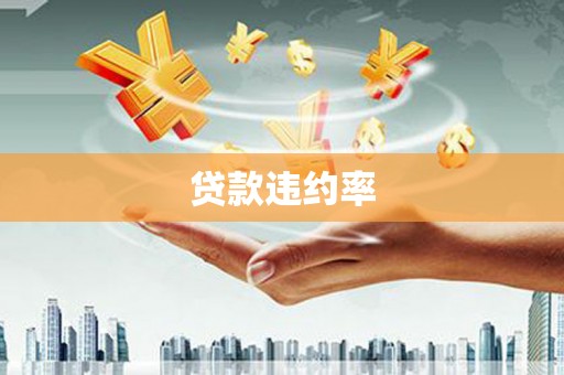 保税港区贷款违约率