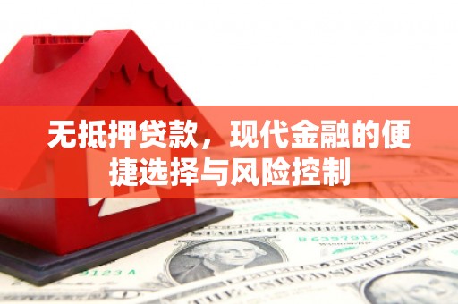 保税港区无抵押贷款，现代金融的便捷选择与风险控制