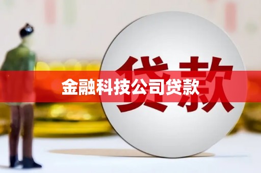 保税港区金融科技公司贷款