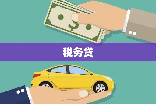 保税港区税务贷