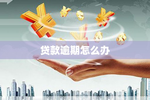 保税港区贷款逾期怎么办