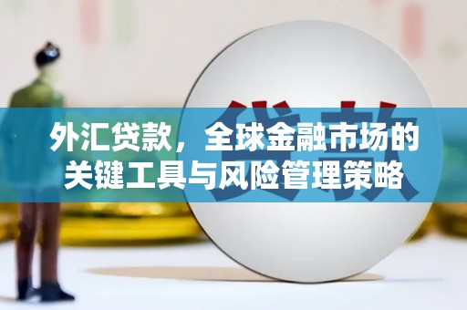保税港区外汇贷款，全球金融市场的关键工具与风险管理策略