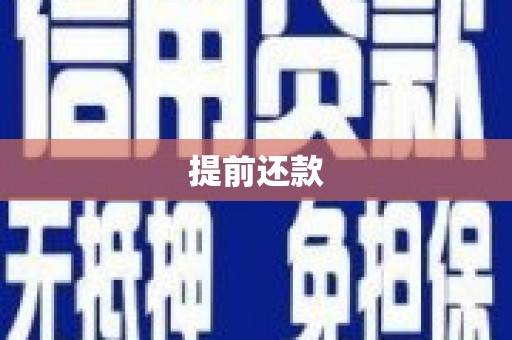 保税港区提前还款
