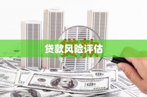 保税港区贷款风险评估