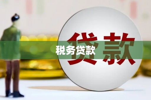 保税港区税务贷款