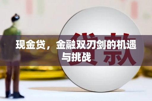 保税港区现金贷，金融双刃剑的机遇与挑战