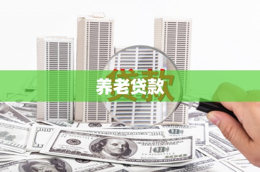 保税港区养老贷款